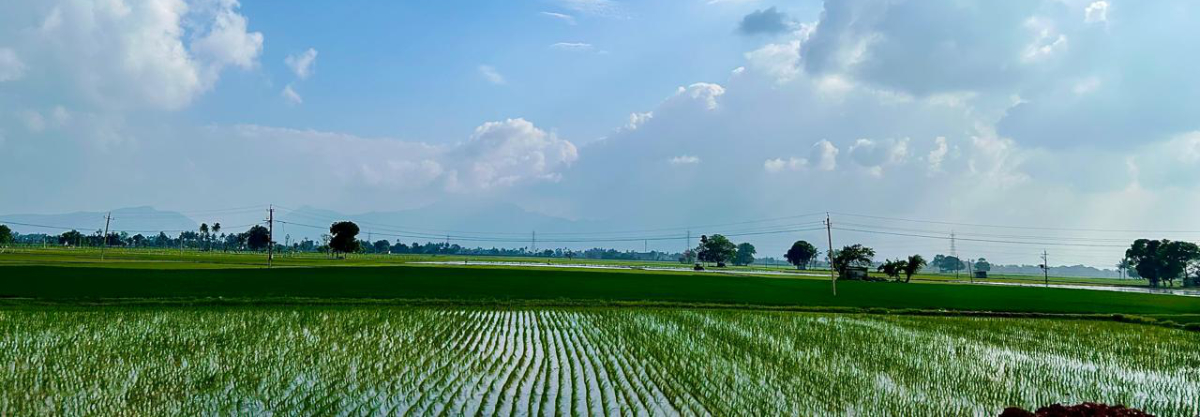 Evidence-led advisory for high-impact giving