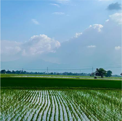 Evidence-led advisory for high-impact giving